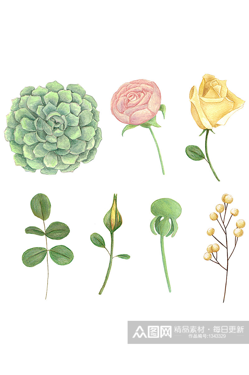 手绘植物合成花朵效果素描手绘免抠元素素材