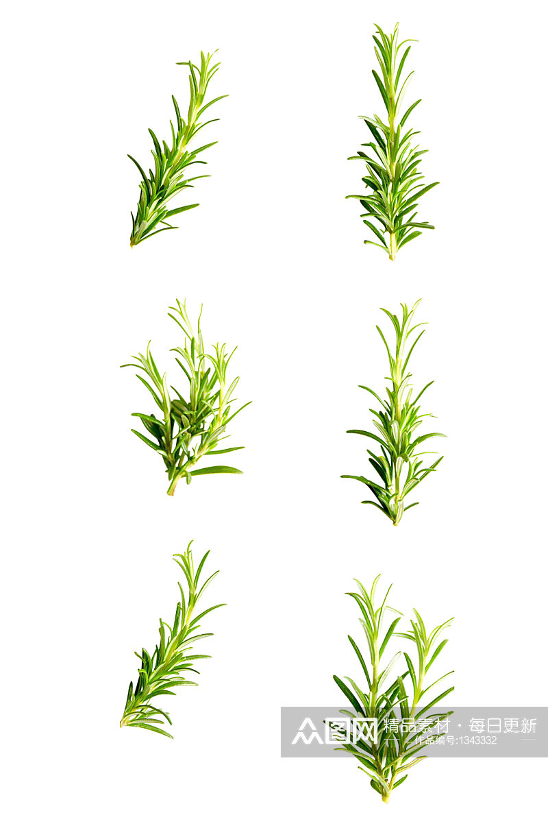 小草创意绿色的植物效果免抠元素素材