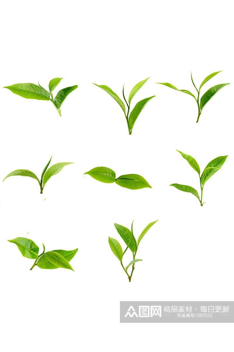 茶叶清晰绿色清新装饰免抠元素素材