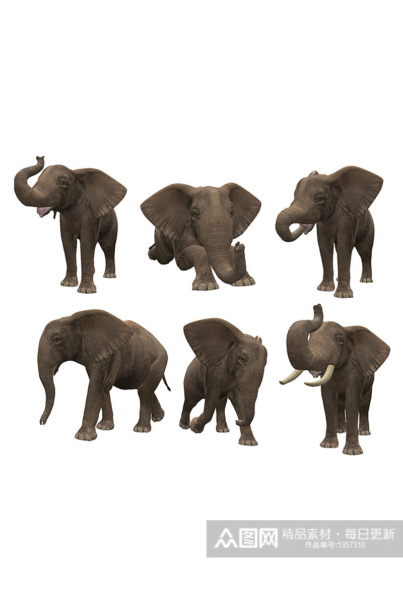 六个视角的的免扣大象动物装饰免抠元素素材