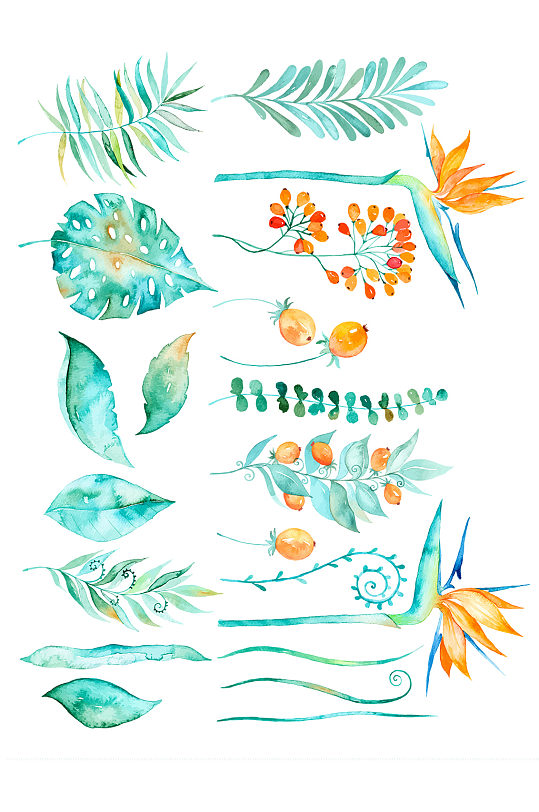 手绘水彩植物叶子免抠元素