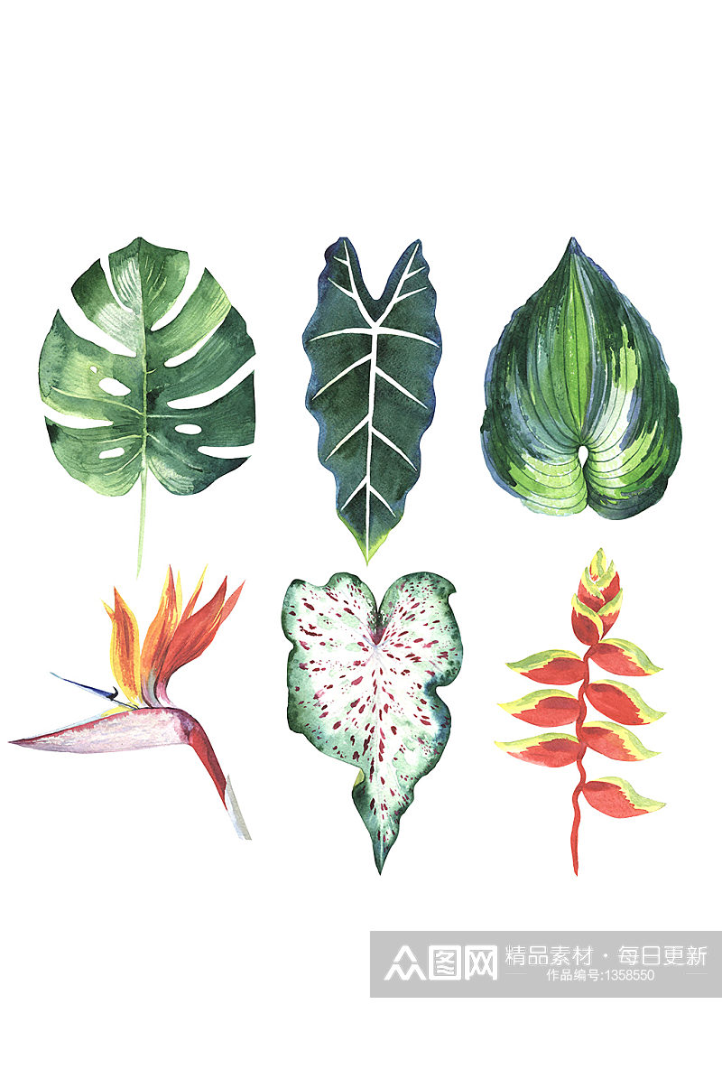 手绘水彩植物叶子小清新免抠元素素材