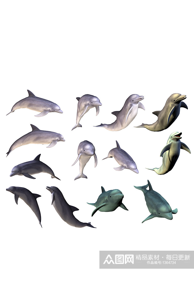 海豚游泳姿势海洋动物装饰免抠元素素材