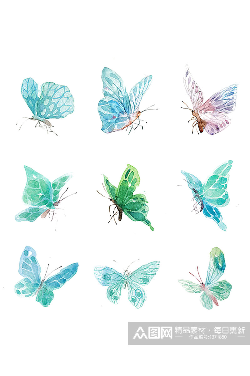 各种各样飞翔的水彩昆虫蝴蝶免抠元素素材