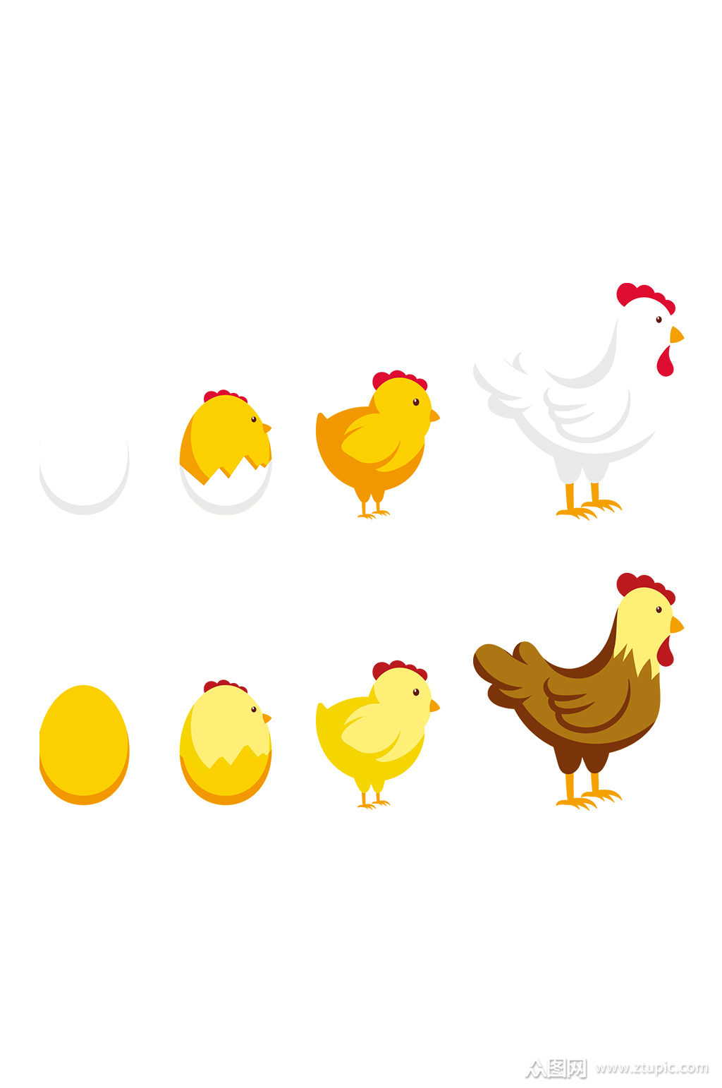 矢量精致卡通鸡蛋小雏鸡免抠元素素材
