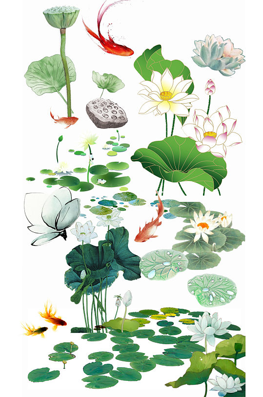 手绘植物荷花图片 手绘植物荷花素材下载 众图网