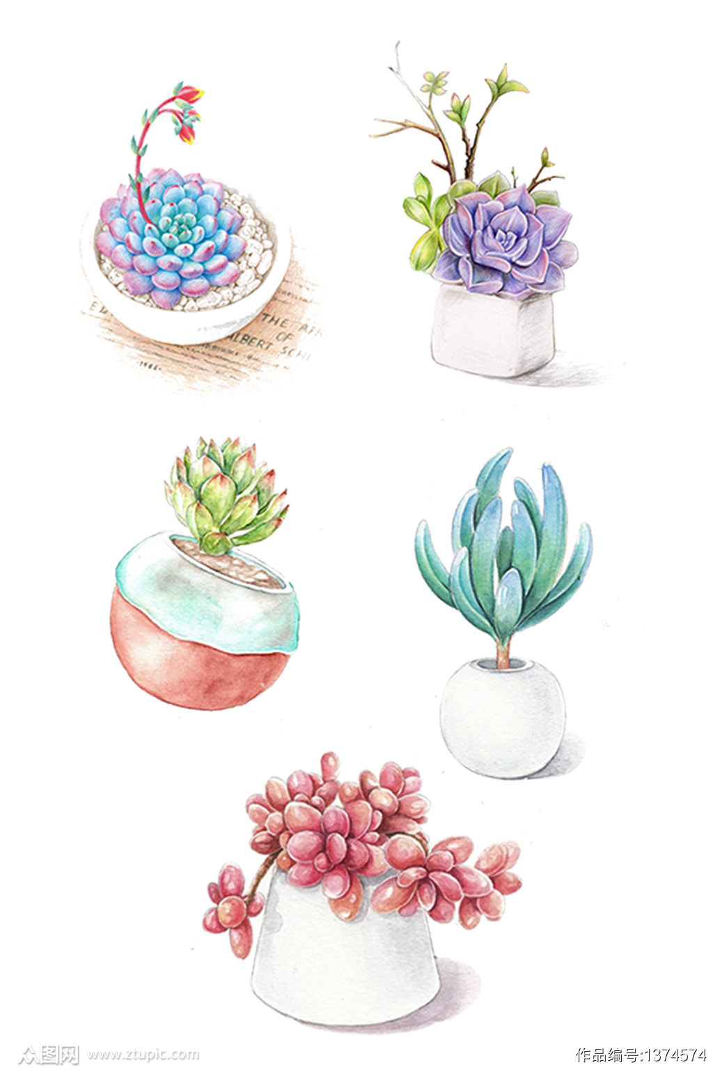 手绘水彩多肉盆栽植物装饰免抠元素 设计元素素材下载 众图网 手绘水彩多肉盆栽植物装饰免抠元素 设计元素素材下载 众图网