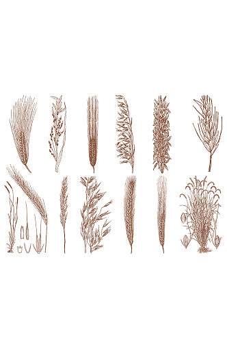 复古手绘风稻谷植物小麦免抠元素