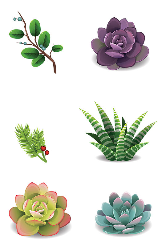 多肉的图片-多肉的素材下载-众图网