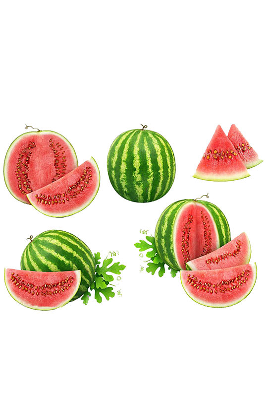 各种手绘西瓜水果的夏天免抠元素