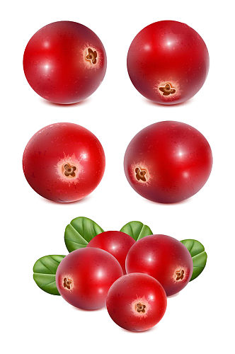 多款多角度新鲜水果蔓越莓免抠元素