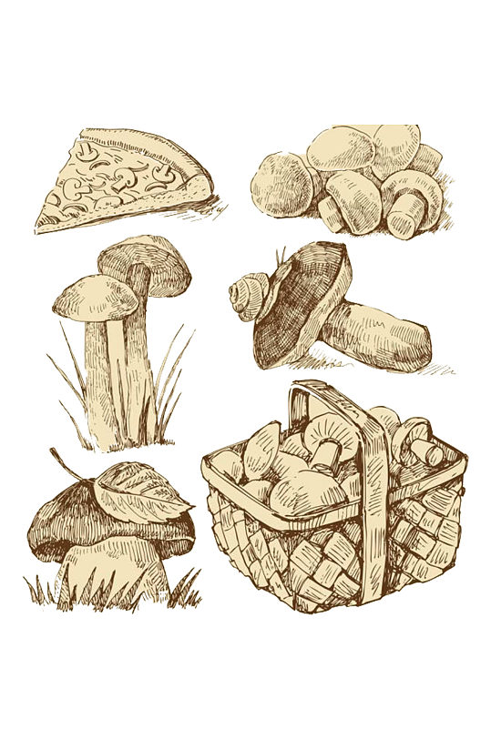 手绘野生蘑菇蔬菜素材免抠元素