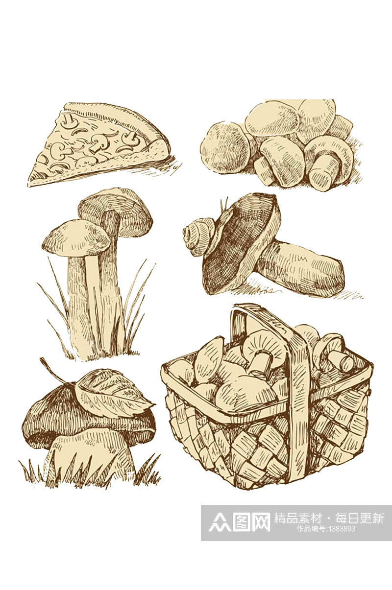手绘野生蘑菇蔬菜素材免抠元素素材