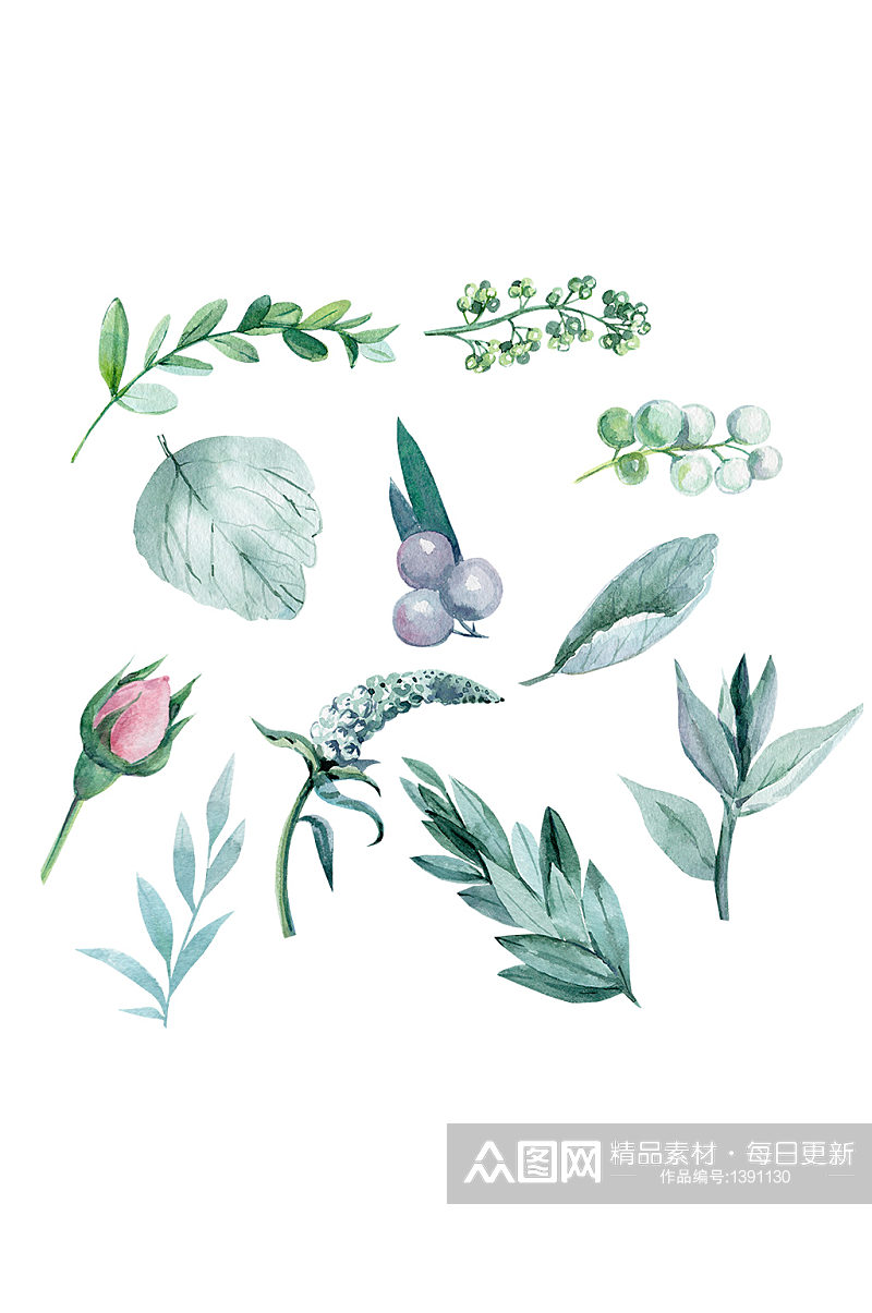 春天手绘墨绿色植物装饰免抠元素素材