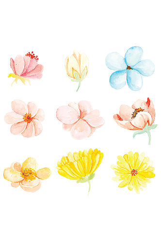 五彩水彩手绘花朵免抠元素