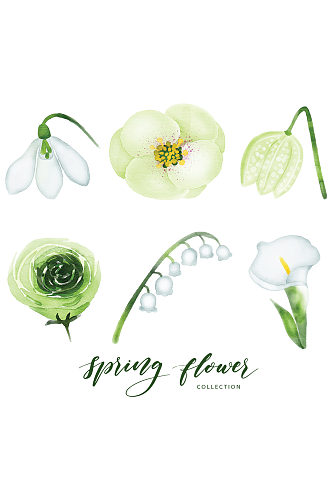 白绿色精美春天花朵免抠元素