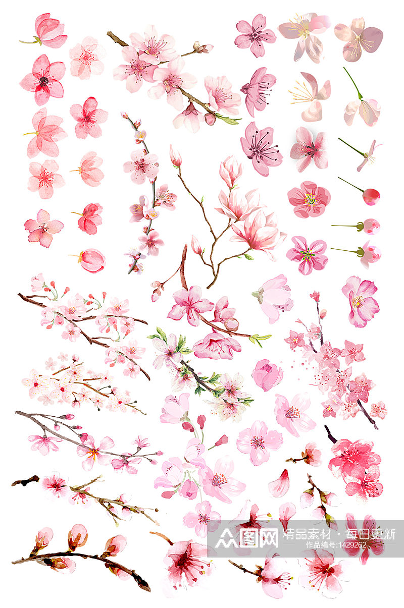 手绘插画水彩花朵植物桃花素材免抠元素素材