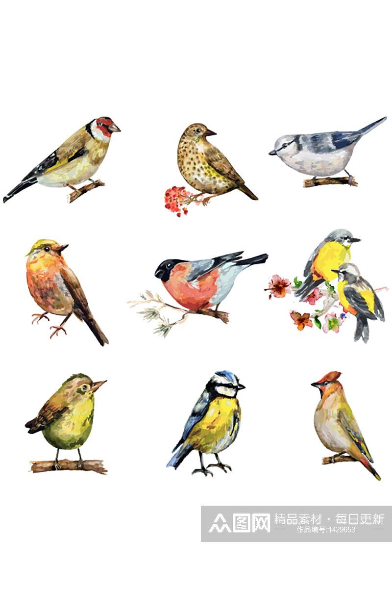 手绘水彩各种小鸟动物免抠元素素材
