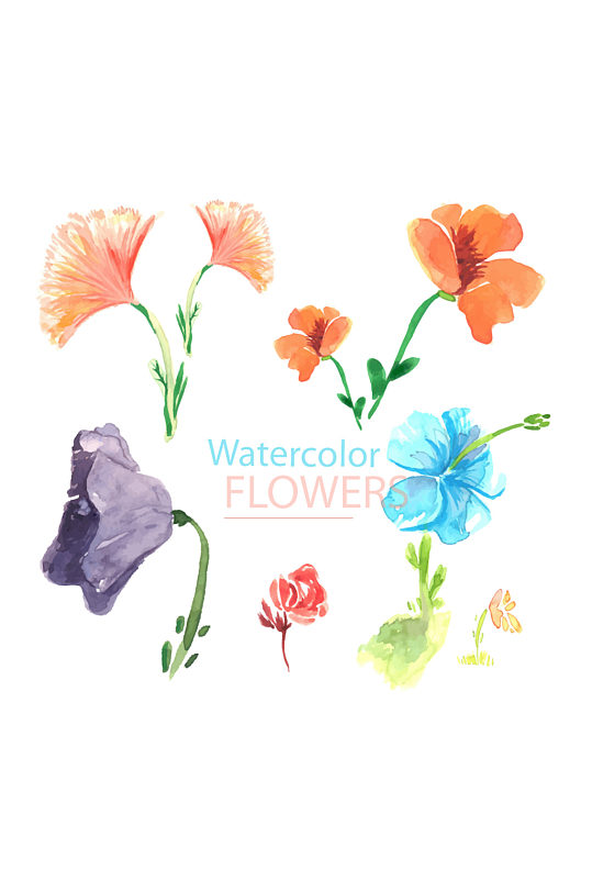 手绘插画水彩花卉植物装饰免抠元素
