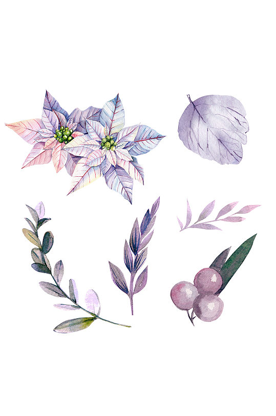 手绘紫色植物装饰水彩免抠元素