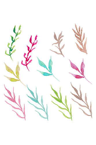 手绘水彩植物树叶枝叶树叶免抠元素
