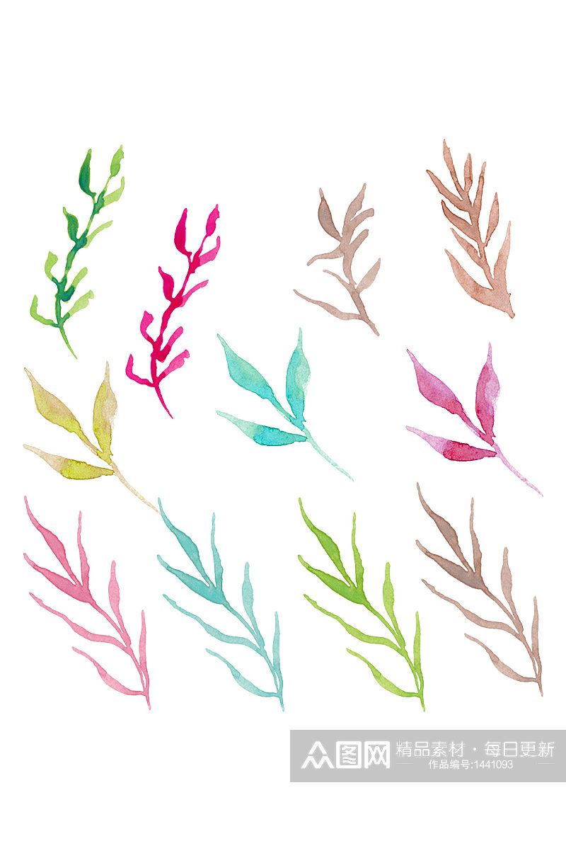 手绘水彩植物树叶枝叶树叶免抠元素素材