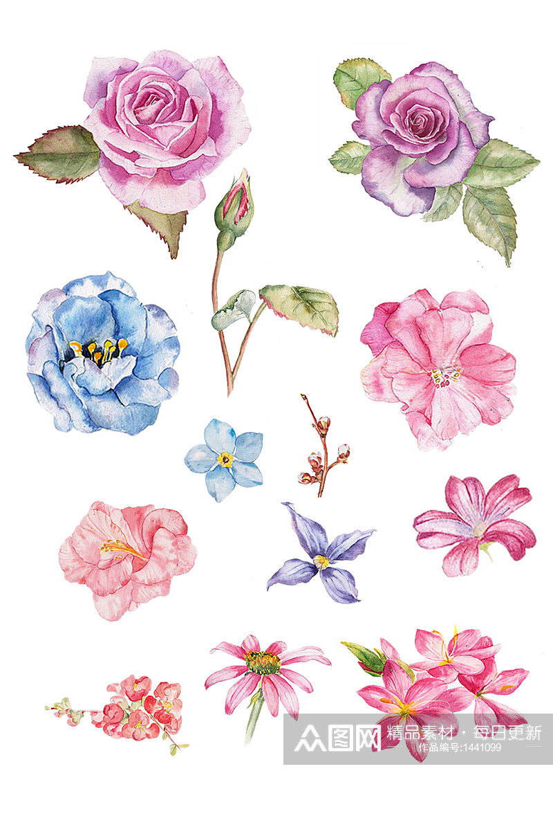 手绘水彩花朵植物花瓣集锦免抠元素素材