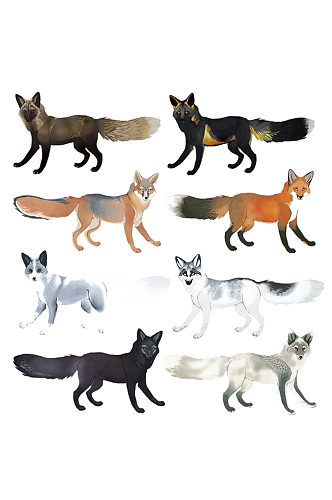 手绘各个品种水彩狐狸动物免抠元素