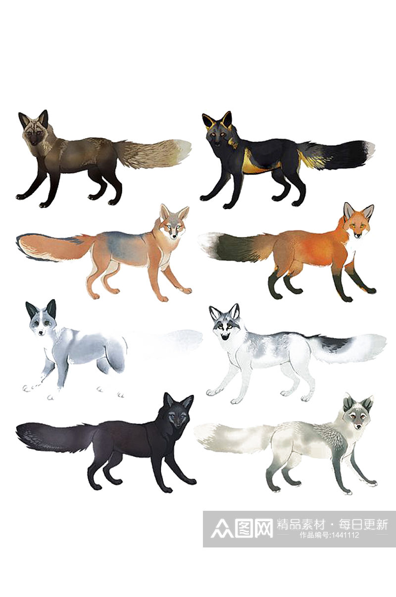 手绘各个品种水彩狐狸动物免抠元素素材