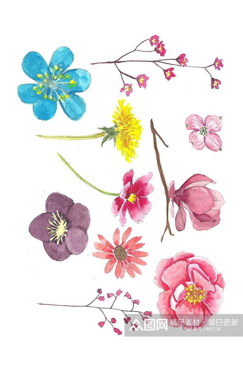 水彩画的彩色花朵花蕾免抠元素素材
