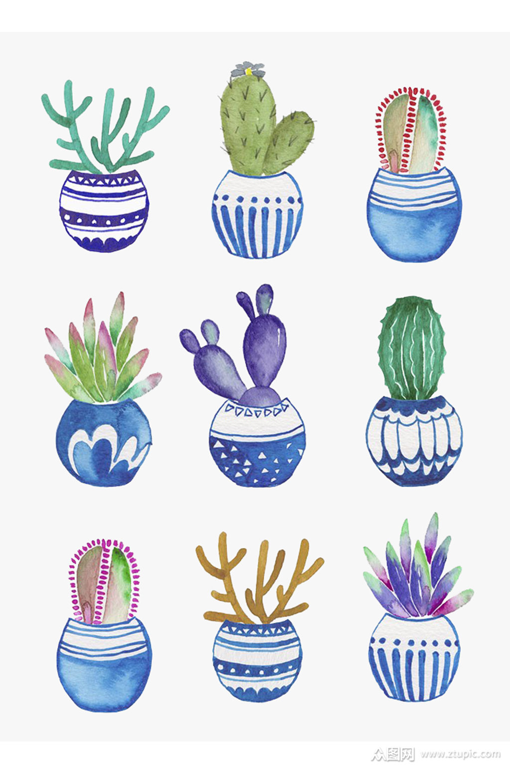 多肉系列插画素材水彩风植物盆栽免抠元素素材