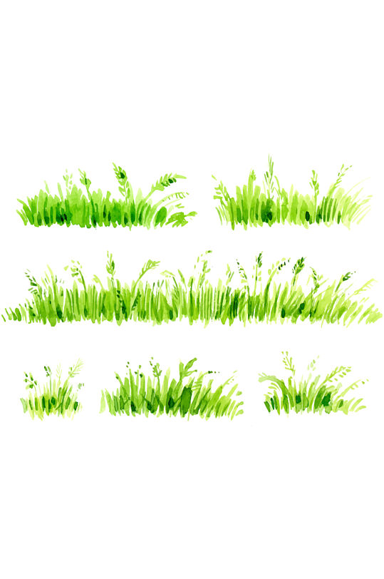 水彩手绘植物草地草坪小草免抠元素