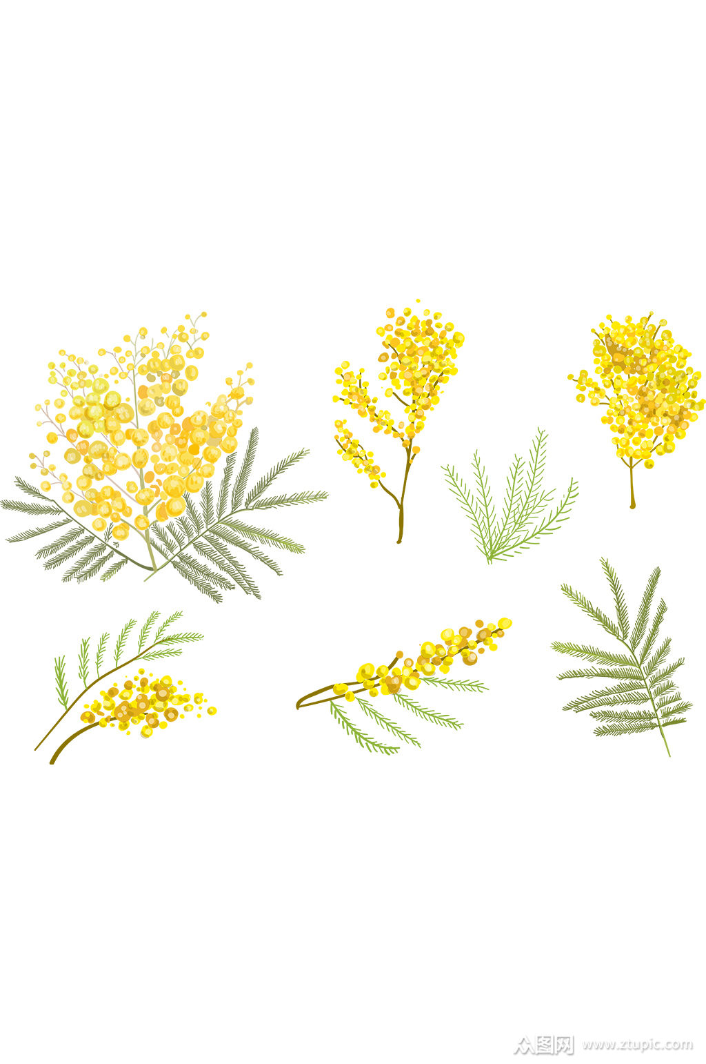 手绘水彩插画植物小黄花矢量免抠元素素材