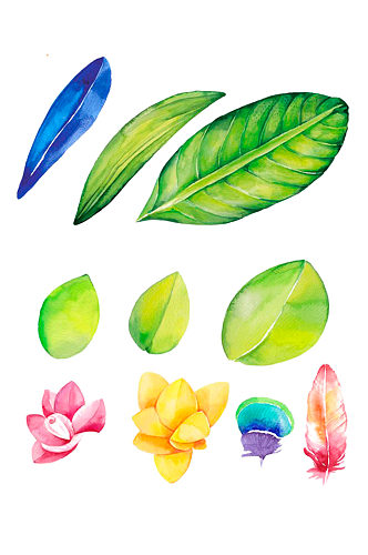 手绘树叶彩色花朵植物素材免抠元素