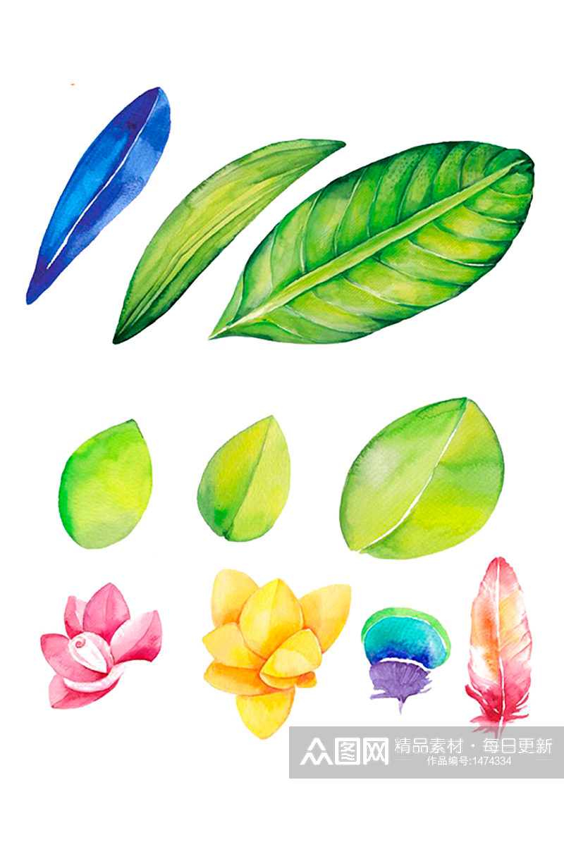 手绘树叶彩色花朵植物素材免抠元素素材