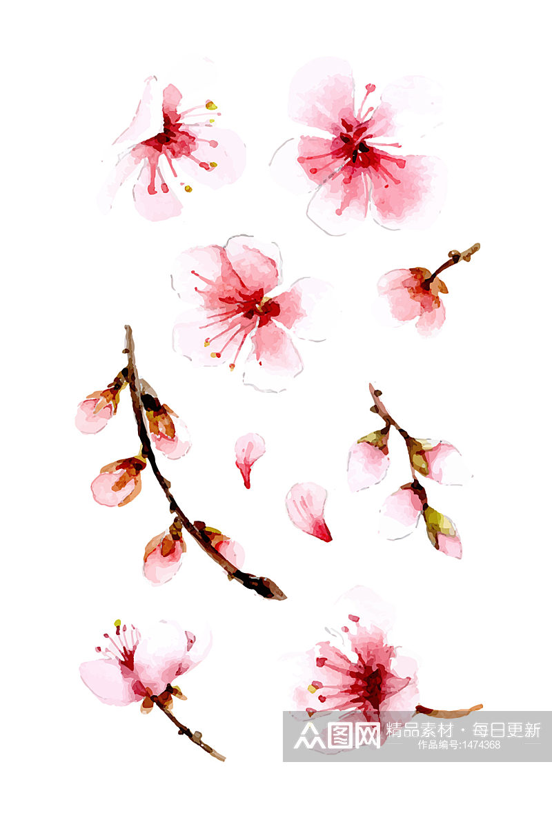 矢量水彩插画腊梅花朵植物免抠元素素材