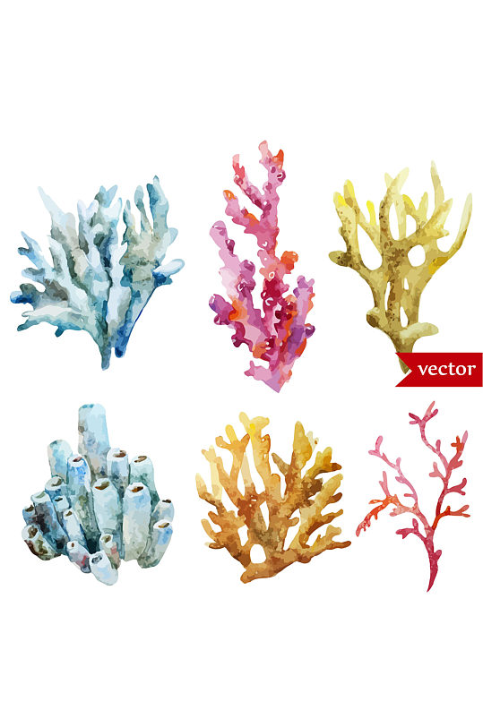 水彩插画涂鸦矢量海洋植物珊瑚免抠元素