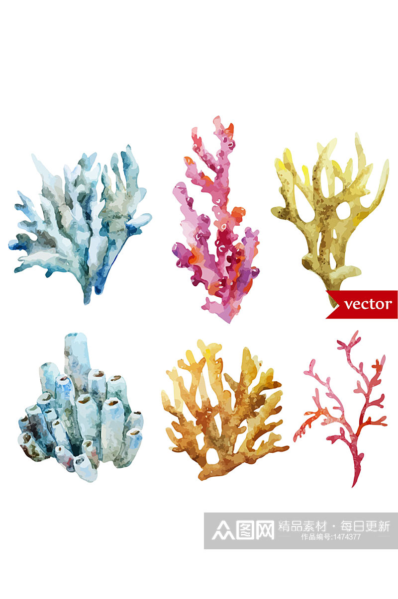 水彩插画涂鸦矢量海洋植物珊瑚免抠元素素材