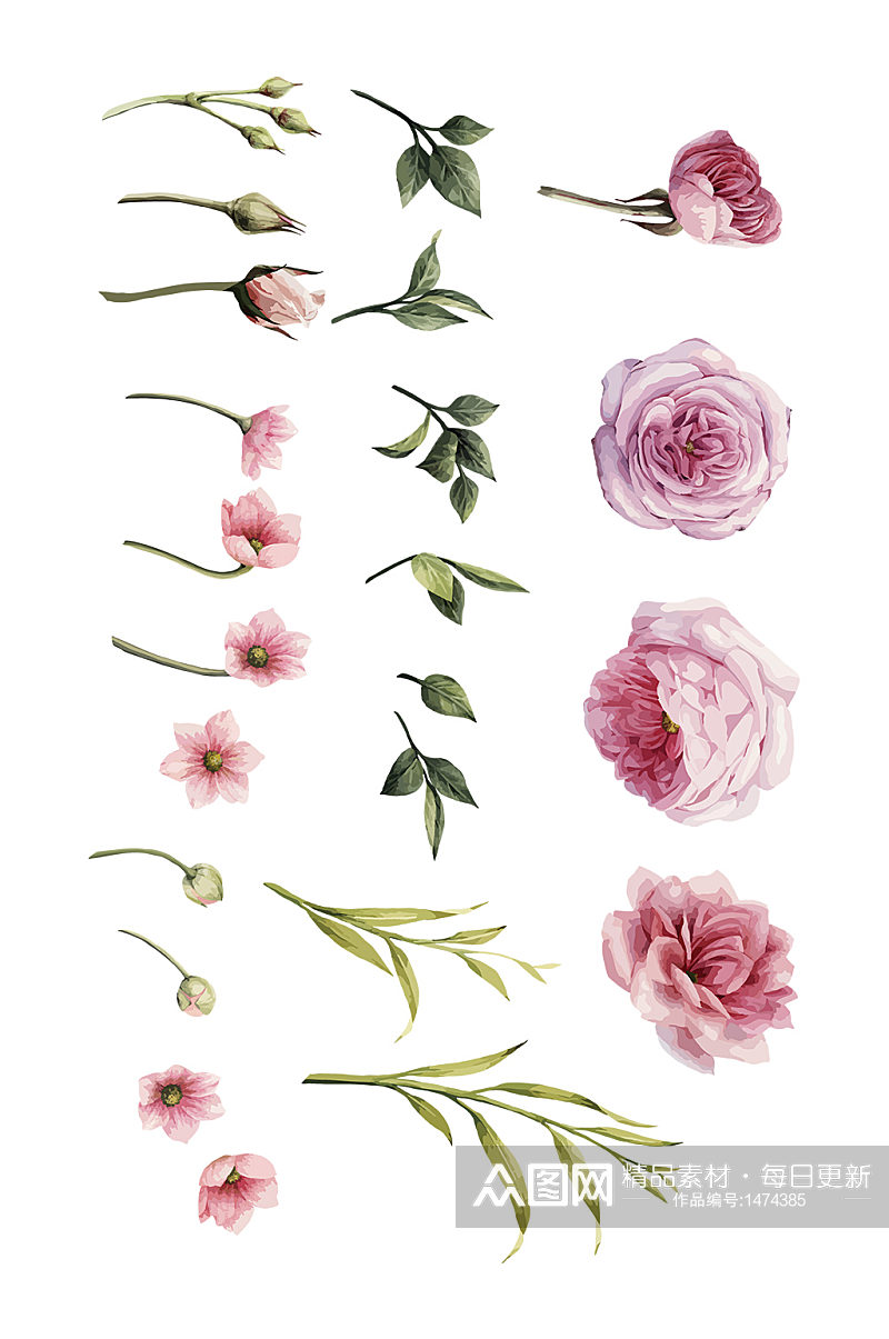 高清手绘水彩玫瑰花矢量免抠元素素材