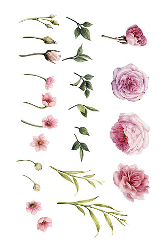 高清手绘水彩玫瑰花矢量免抠元素