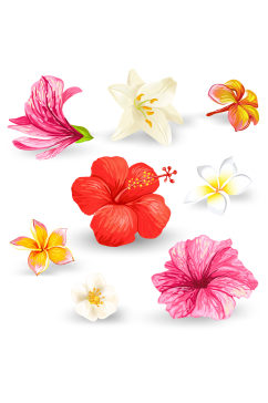 矢量手绘水彩装饰花朵植物免抠元素