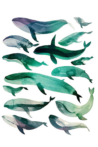手绘插画水彩动物海洋生物蓝鲸免抠元素