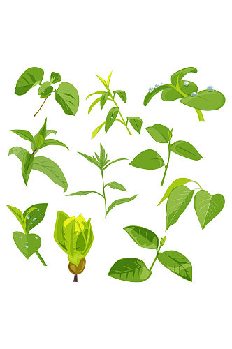 多款植物树叶枝叶嫩芽绿色植物免抠元素
