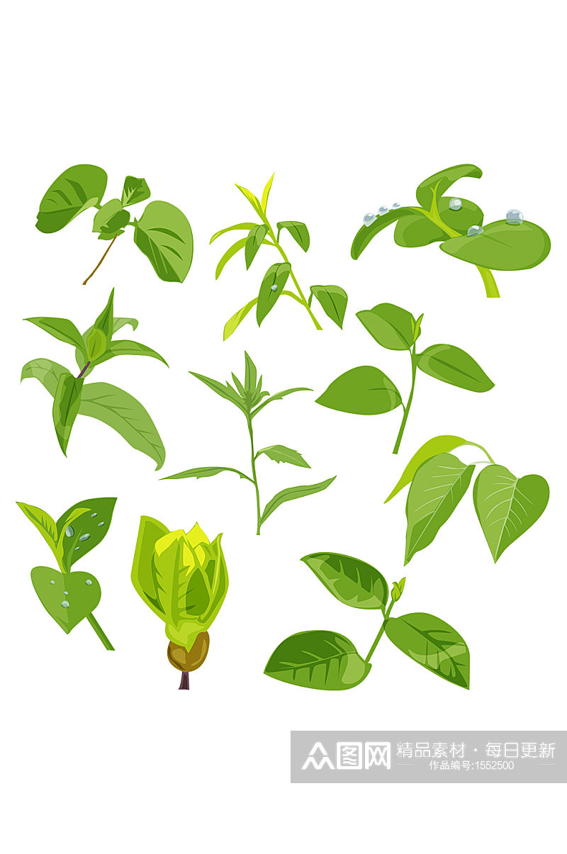 多款植物树叶枝叶嫩芽绿色植物免抠元素素材