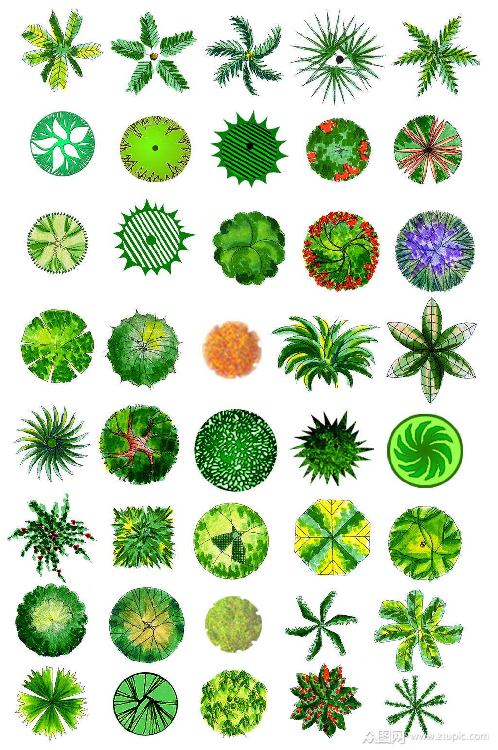 手绘平面植物素材