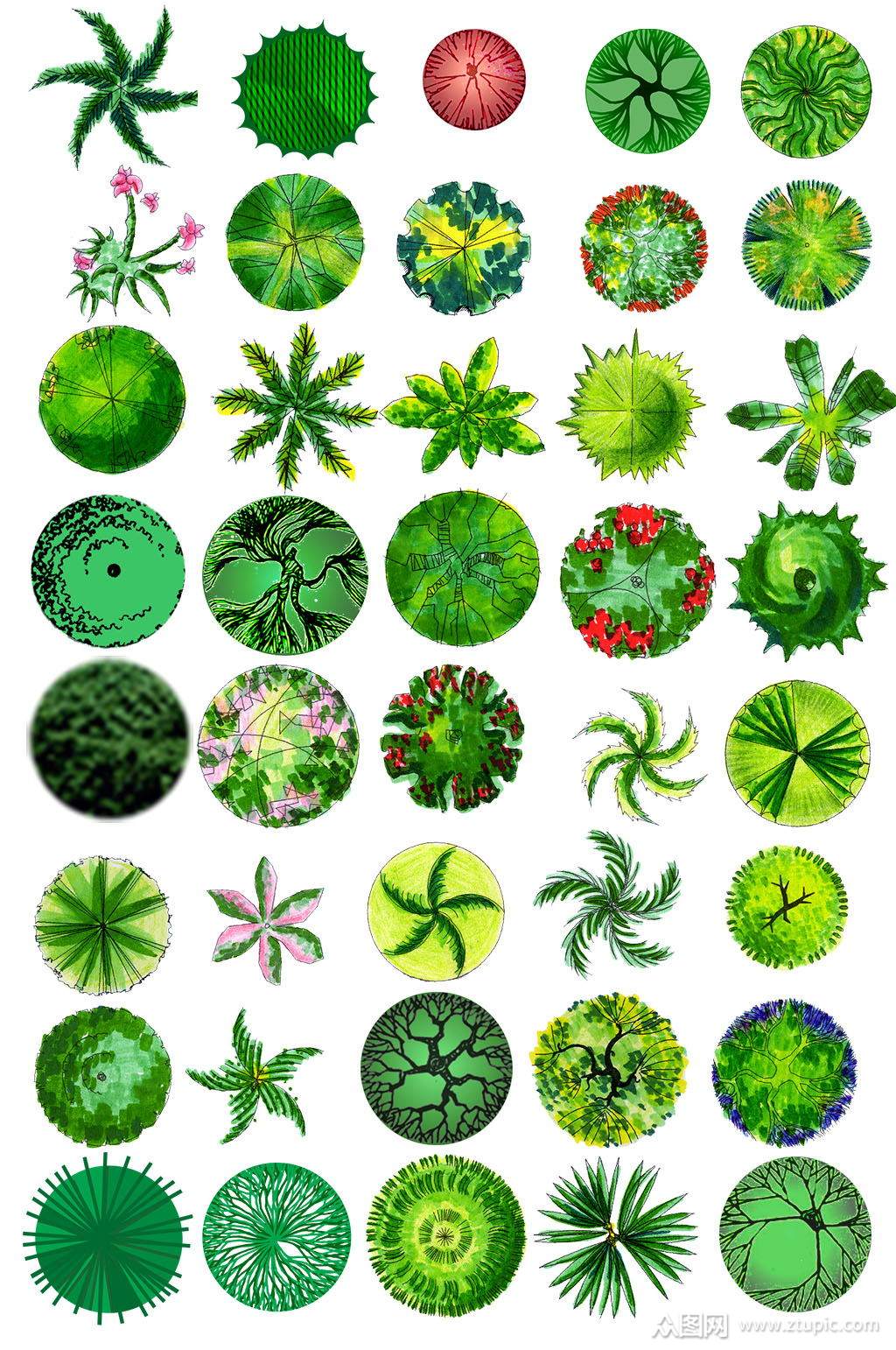 手绘平面植物素材素材