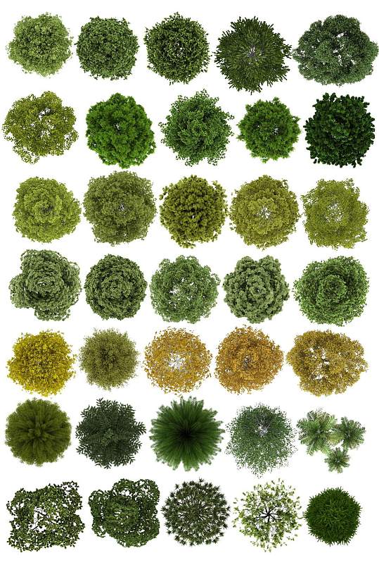 植物psd平面图片-植物psd平面素材下载-众图网