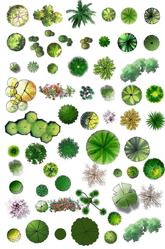 psd景观植物素材