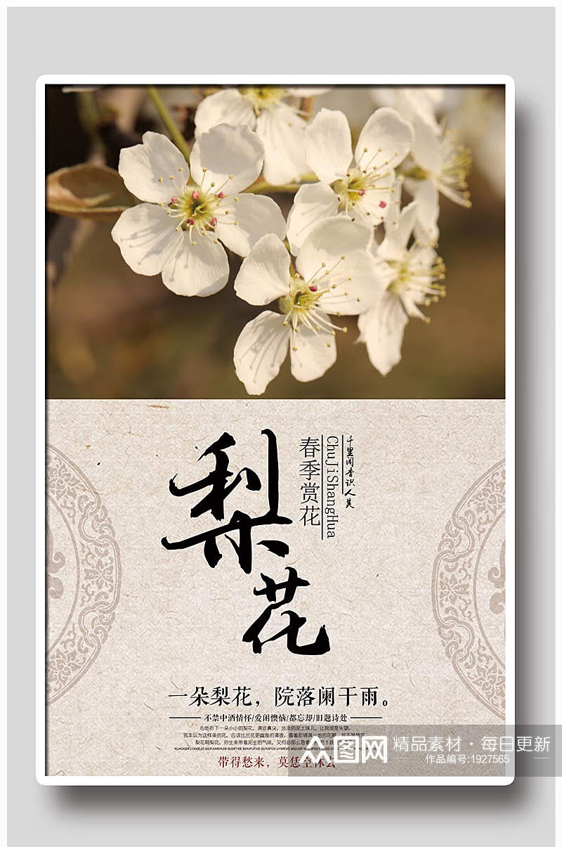 中国风梨花设计宣传海报素材