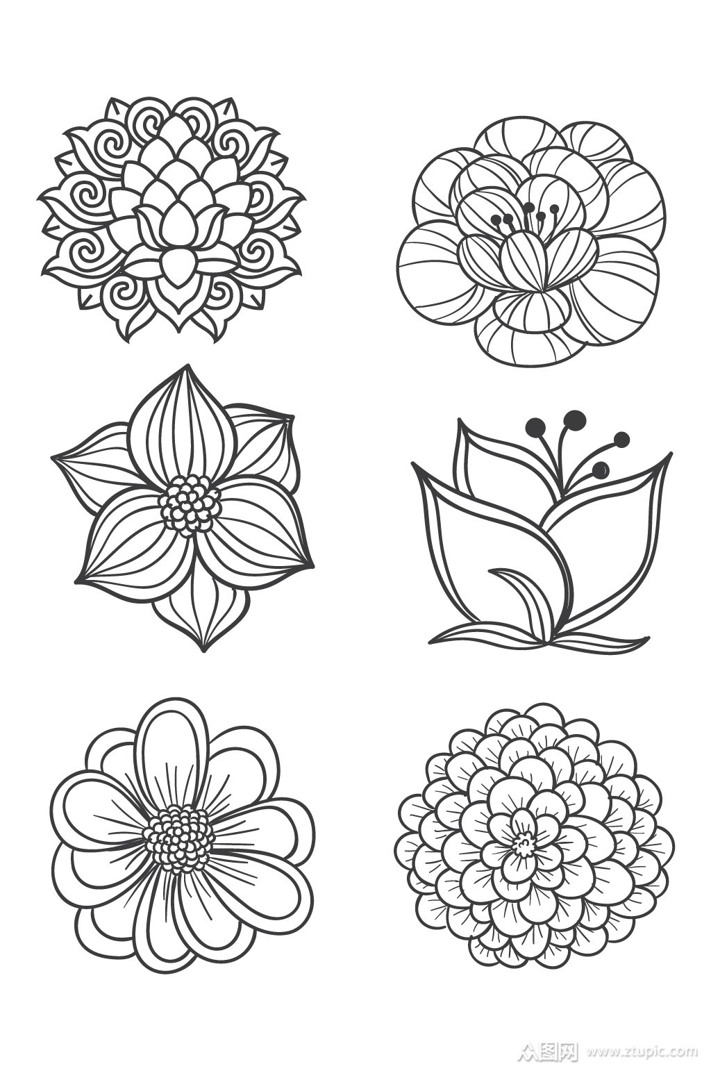 手绘荷花素描图案